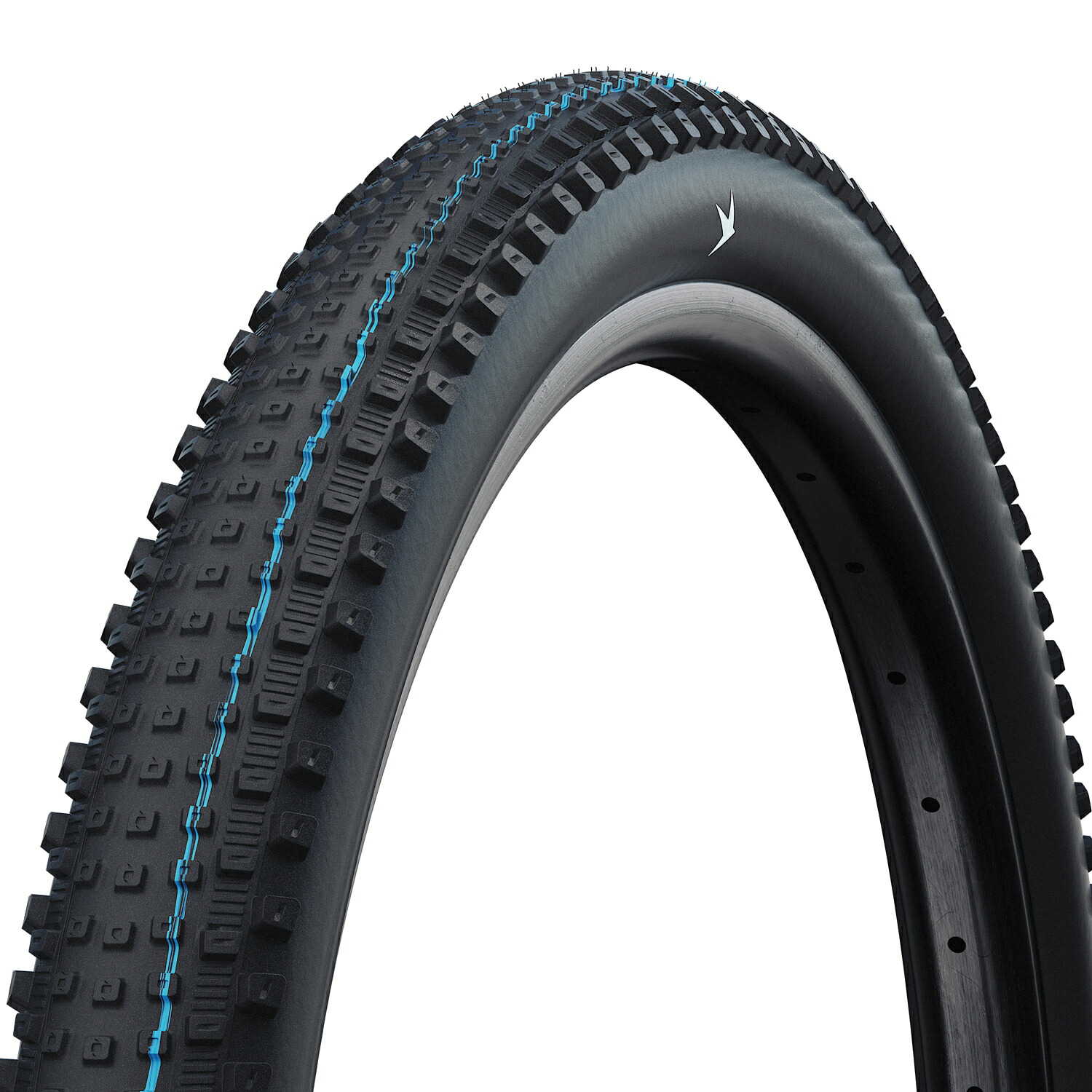 SCHWALBE(シュワルベ) 【正規品】リックXC MTB タイヤ サイクル/自転車 29x2.40 ブラック(ETRTO:62-622) SW-11654568｜ナチュラム キャンプ専門店