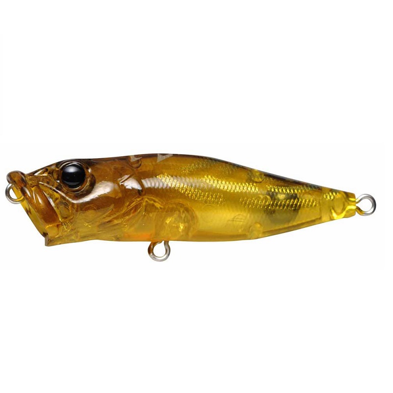 Megabass POP X ルアー 龍限定カラー 楽天市場】【エントリーでP10倍！】【2024大阪受注会限定