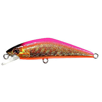 楽天市場】スミス(SMITH) D-コンタクト 72 #19 ピンク : dn e-shop