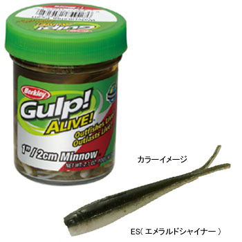 全て未使用品！（絶版）バークレイ ガルプアライブ バケツ バルキーホグセット！ 全て未使用品！（絶版）バークレイ ガルプアライブ バケツ バルキー