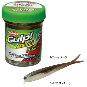 楽天市場】バークレイ ガルプ！アライブ！ミノー1インチ ゆうパケット