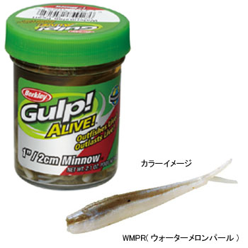 楽天市場】バークレイ ガルプ！アライブ！ミノー1インチ