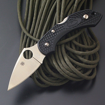 Spyderco(スパイダルコ) ドラゴンフライ2 FRN(直刃) ブラック C28PBK2