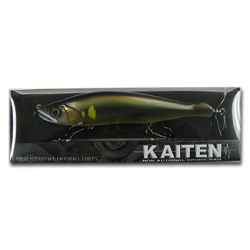 ガンクラフト(GAN CRAFT) KAITEN178 NS(カイテン178 NS) 178mm #10 落ち鮎