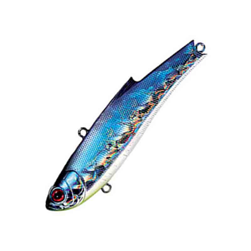 レンジバイブ ES 55mm CH-109(CHカタクチイワシ)