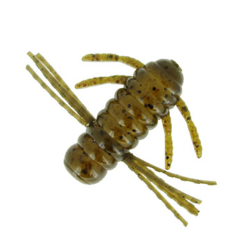 青木虫(アオキムシ) 1.5インチ (GP)グリーンパンプキン