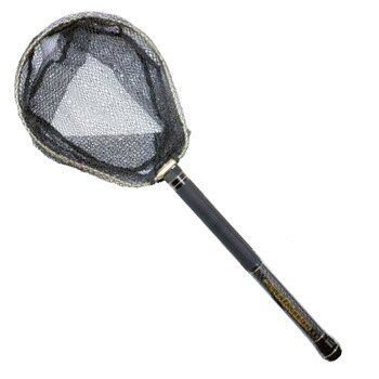 ジャクソン Jackson 百貨店悪巧はやりっ子サイバー空間 380 Gd ゴールド 墨ぞめ Stn 380 Lisaproject Eu