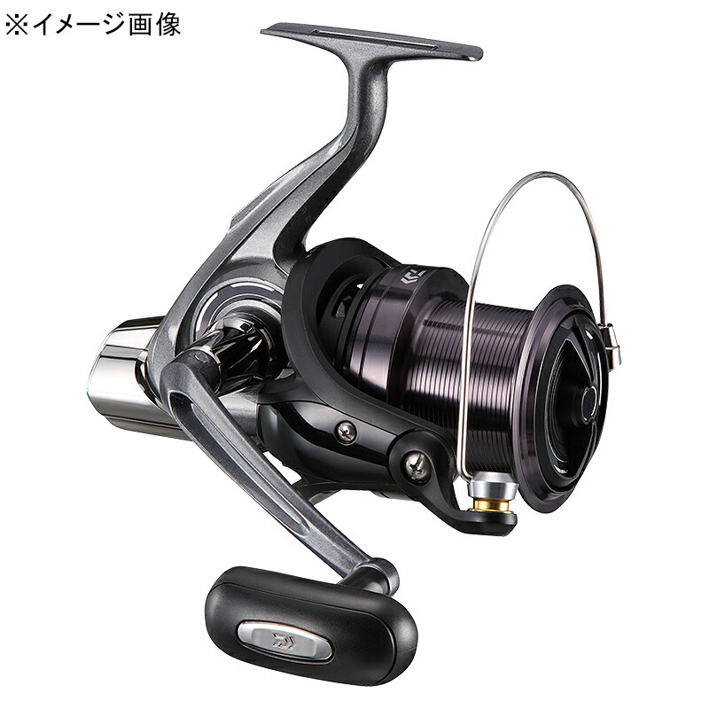 ダイワ(Daiwa) 17差し交わす役をつける 4000QD 00059665