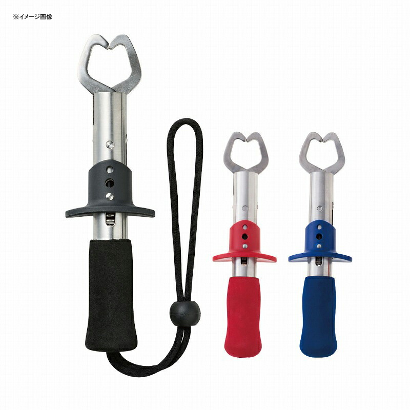 ダークグレー 希少☆サイバーアクアリオ特製カラーウィールWBBA限定カラー