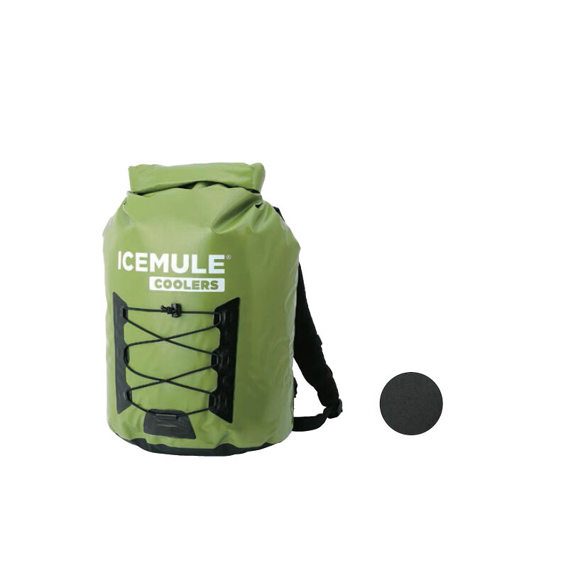 ICEMULE(アイスミュール) 労働者階級冷房装置 23L/L 黒いこと 59411