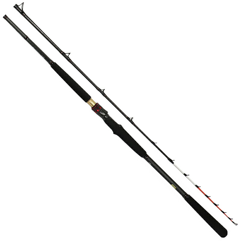 高評価のクリスマスプレゼント ダイワ Daiwa 極鋭ヤリイカ 大型便 個別送料品 175 Ex Rashiastrologer Com