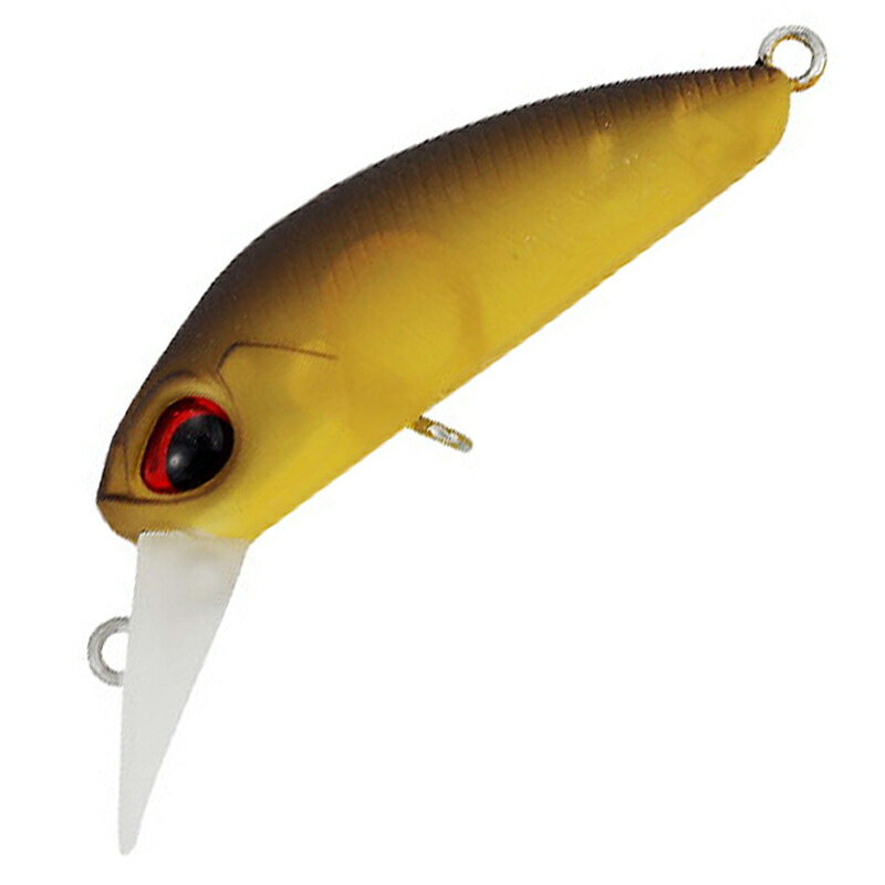 楽天市場】ヴァルケイン クーガS リミテッドエディション