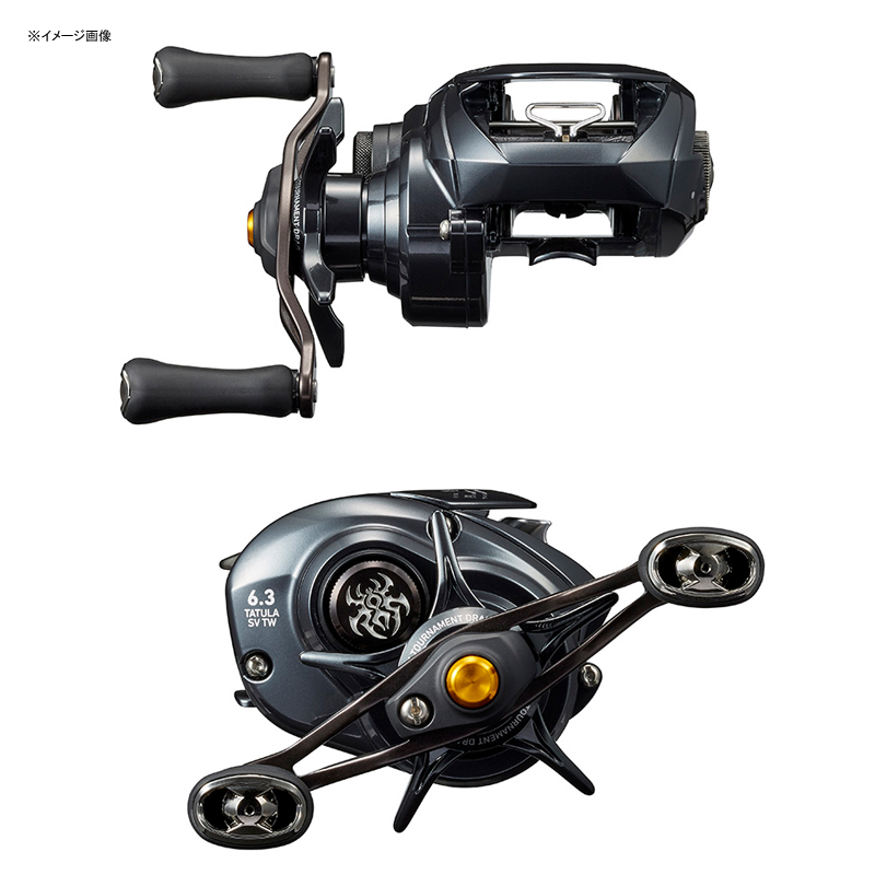 ダイワ(DAIWA) 21 タトゥーラ TW 300 右ハンドル(2021年モデル) :s