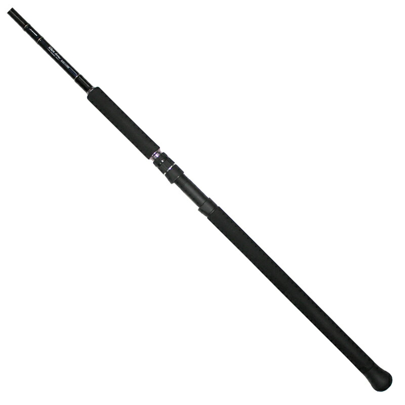 ブラックアロー アンリミテッド BAU 110H