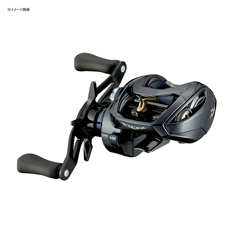 ダイワ(Daiwa) STEEZ A TW HLC 6.3 左巻き 00630232