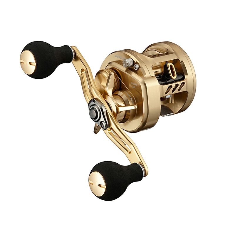 ダイワ(Daiwa) 21バサラ 100 00621044｜ナチュラム 支店