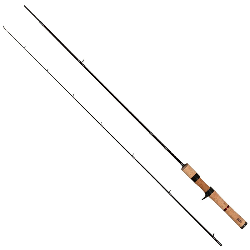 トラウトロッド　アブガルシア　 AION アイオン　602L ベイトフィネス 10_1.jpg