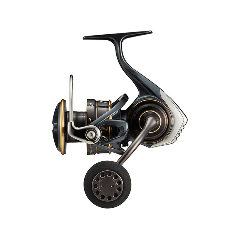 ダイワ(Daiwa) 22 CALDIA(カルディア) SW 4000D-CXH 00065049