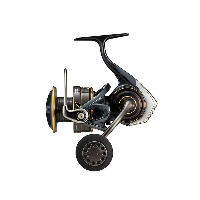 ダイワ(Daiwa) 22 CALDIA(カルディア) SW 5000D-CXH 00065050 20,082円