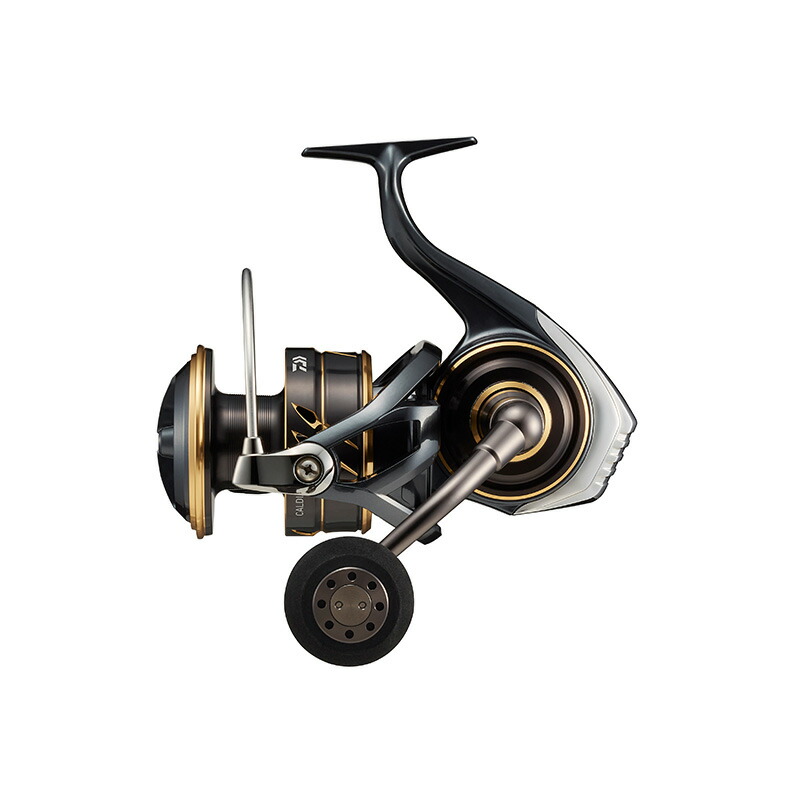 ダイワ(Daiwa) 22 CALDIA(カルディア) SW 18000 00065056｜ナチュラム 支店