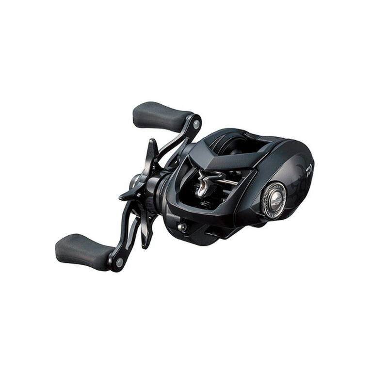 ダイワ(Daiwa) タトゥーラ TW 80H 右ハンドル 00630113