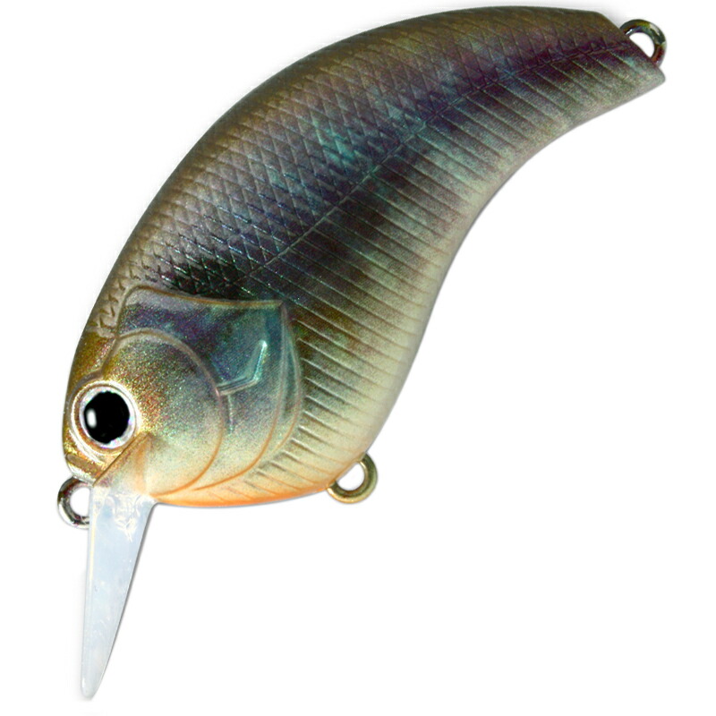 楽天市場】デプス イヴォーク 4.0 【メール便NG】 : プロショップ