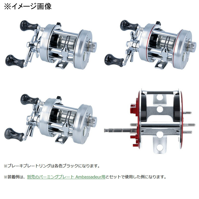 Avail(アベイル) ブレーキプレート 2500C 非IAR用 クロム 2500C-BKPLATE