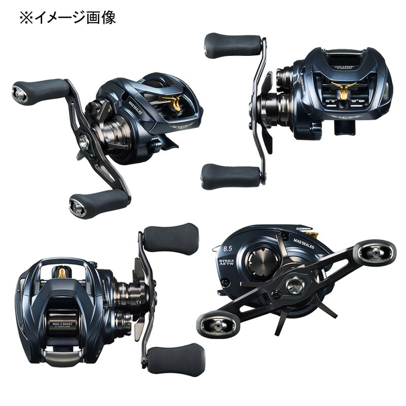 ダイワ(Daiwa) STEEZ AII 左ハンドル 1000HL(スティーズA2TW) TW