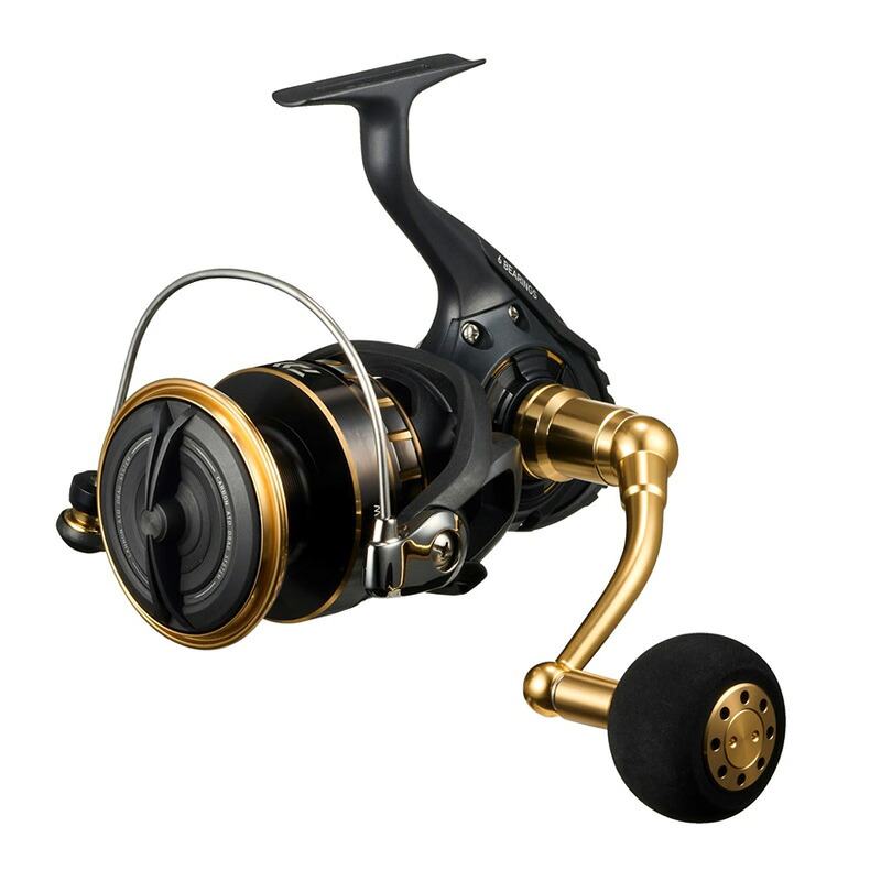 ダイワ(Daiwa) 23BG SW 10000-H 00065066