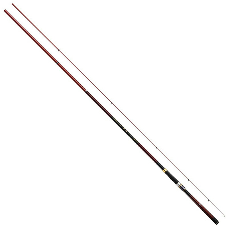ダイワ(Daiwa) 波濤 6-48HR・N 05301099|ナチュラム 支店
