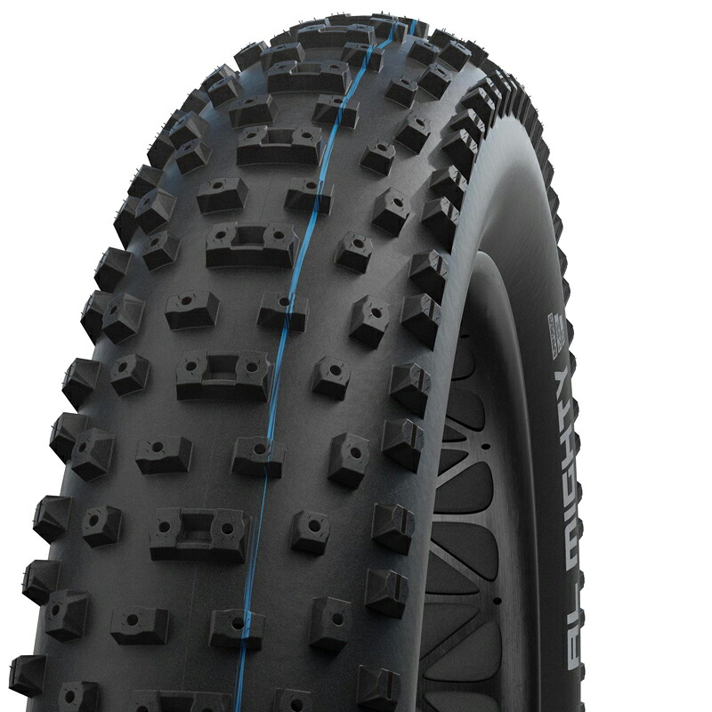 SCHWALBE(シュワルベ) 【正規品】オールマイティ MTB用 ファットバイク サイクル/自転車 26×4.80 ブラック(ETRTO:120-559) SW-11654264