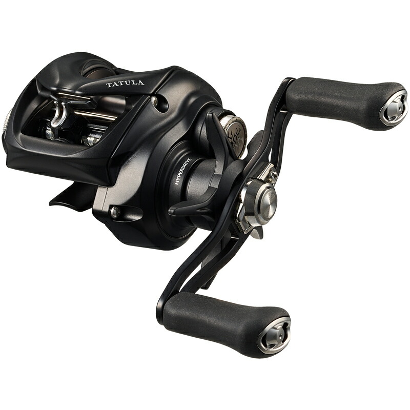 DAIWA　ダイワ　24 タトゥーラ TW 100XHL　本体のみ 楽天市場】ダイワ(DAIWA) 24 タトゥーラ TW 100XHL 左ハンドル : dn e-shop