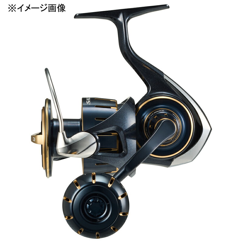 Daiwa SALTIGA 6000-H リール 65_1.jpg