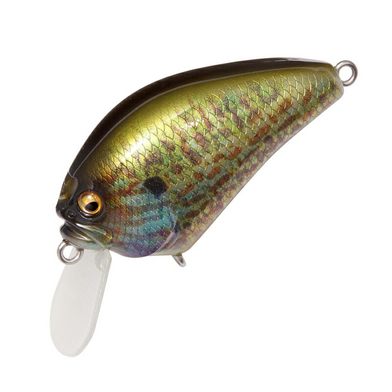 楽天市場】メガバス(Megabass) IxIブローリー 【釣り フィッシング