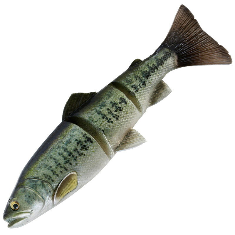 3Dラインスルートラウト SS 12インチ バス