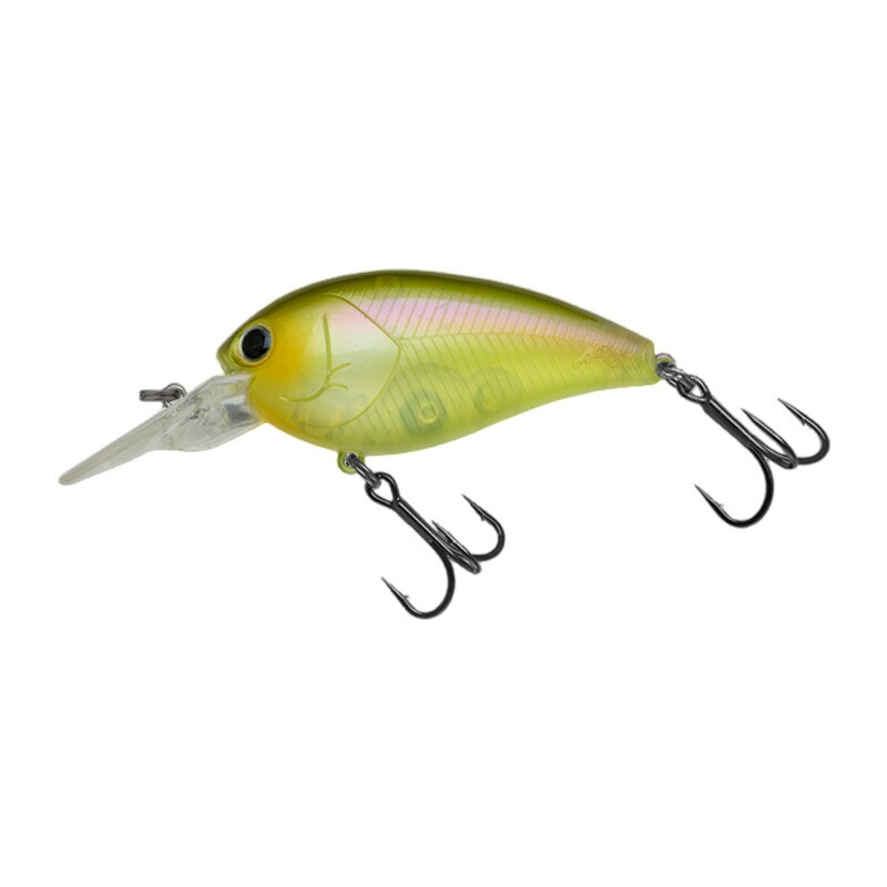 楽天市場】ノリーズ ショットオーバー 2 : アングラーズショップ