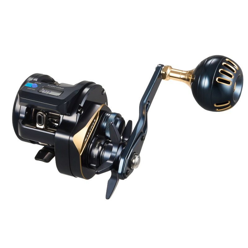 楽天市場】ダイワ(DAIWA) ソルティガ IC 300-C SALTIGA 300HL-SJ-C 