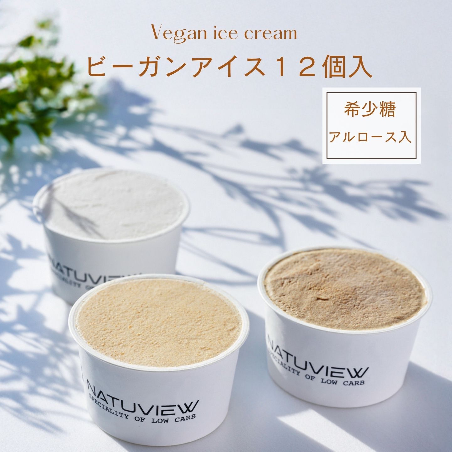 【着後レビューで500円OFFクーポン配布中】【糖質73％オフ】アイス ビｰガンアイス12個入 アルロース入り 低糖質 スイーツ 糖質制限 デザート 糖質カット ビーガン 低糖質専門店 NATUVIEW ナチュビュー 砂糖不使用 ケトジェニック 低糖質スイーツ 糖質オフスイーツ