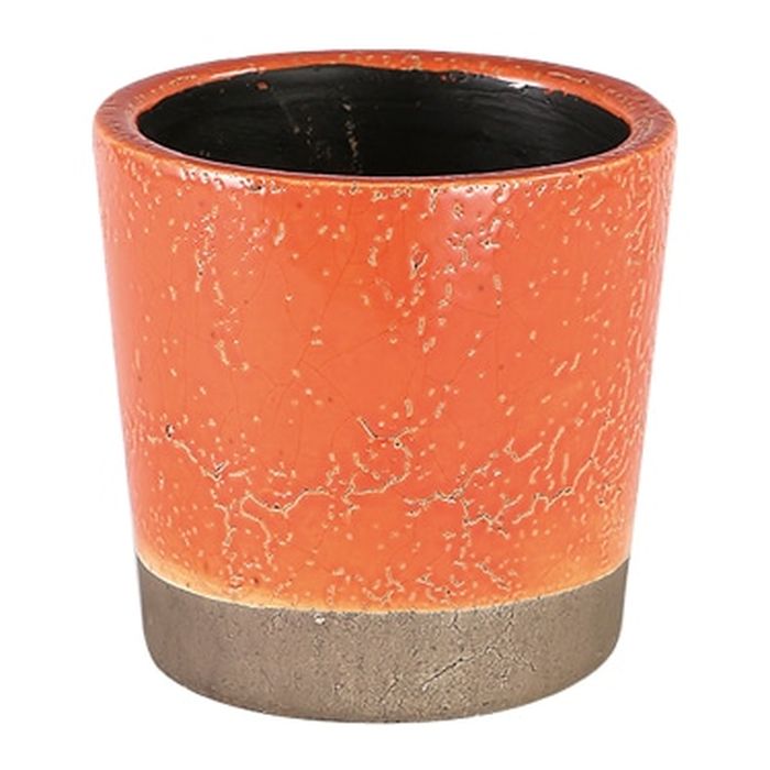 楽天市場】ダルトン セメント ポット ポリヘドロン G20-0213 鉢植え 受け皿付き Dulton CEMENT POT POLYHEDRON  底穴あり ソーサー付 高さ80mm 幅100mm 奥行100mm ガーデニング 園芸 家庭菜園 シンプル おしゃれ : ノーティー楽天市場店
