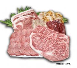 プレミアム焼肉セット 5~6人分 *タレ 胡椒付き 【クール(冷凍)便】<br>本格焼肉を素敵な仲間と共に。<br>食品 肉 ギフト プレゼント お取り寄せグルメ