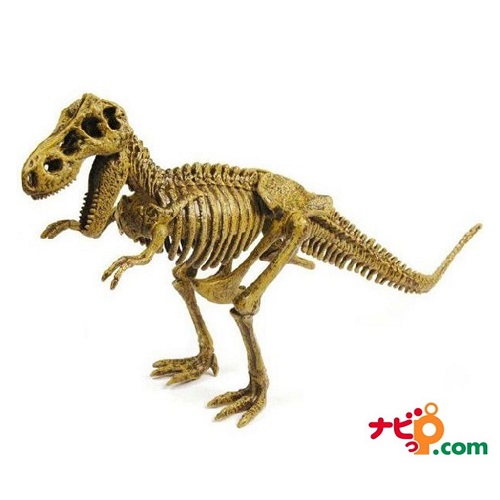 楽天市場】T-REX骨格組み立てキット : 3D・恐竜・おもちゃの