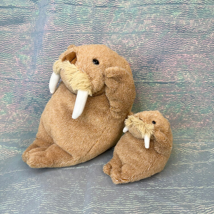 楽天市場】ぬいぐるみ セイウチ 海の生き物 セイウチさんの一日