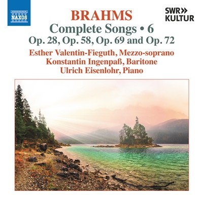ブラームス大全集　第5巻　歌曲集10枚組 Amazon.co.jp: ブラームス:歌曲集(6枚組)/Brahms: Lieder: ミュージック