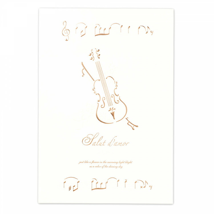 ずっと気になってた エヌビー社 Lt B5相当 便箋 アムール 10枚 パールシルクエンボス 金箔 おしゃれ 楽器 バイオリン 上品 音楽 横書き 横16行罫 かわいい Batesmartin Com