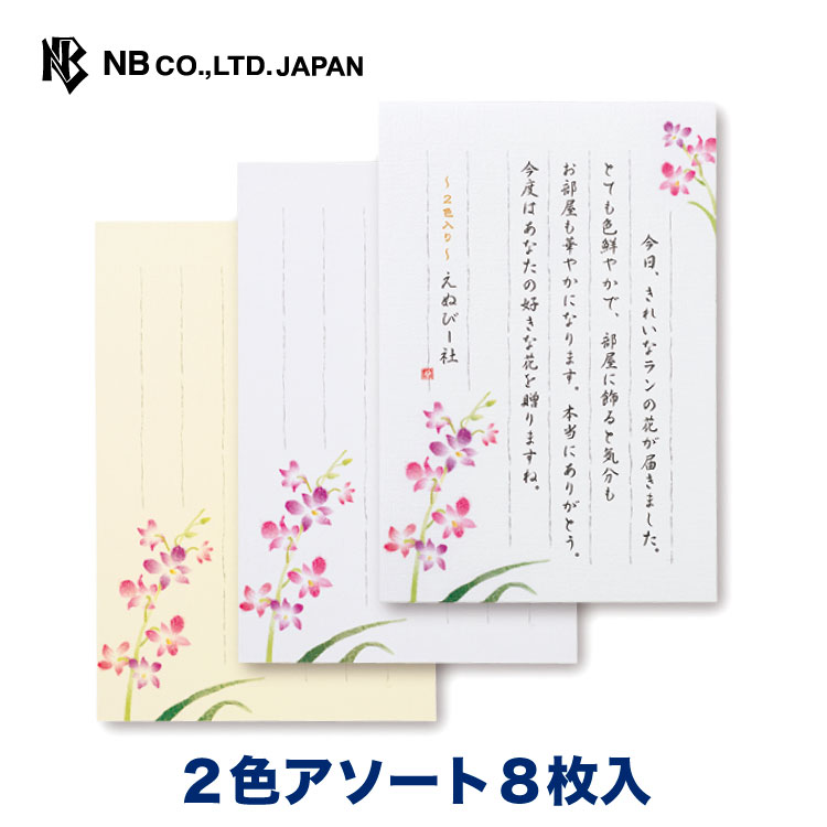 楽天市場 エヌビー社 伝えるきもち はがき箋 四葉 葉書 ハガキ 8枚 おしゃれ 郵便枠入 大人 シンプル 手紙 メッセージ クローバー 四つ葉 縦書き かわいい 文例 ハガキ 葉書 ポストカード 2色アソート エヌビー社online Shop 楽天市場店