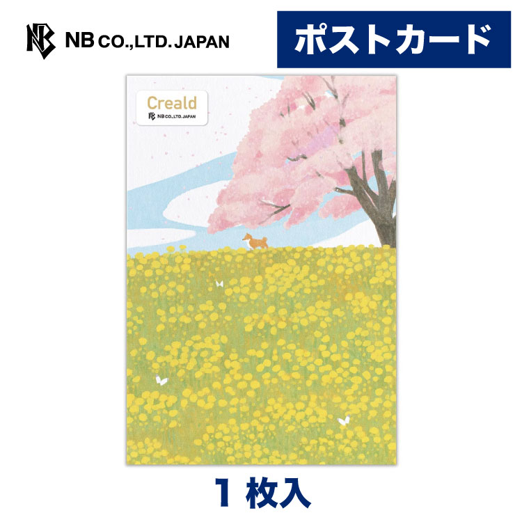 桜衣乃　新田ひより　直筆カード 桜衣乃 新田ひより 直筆カード