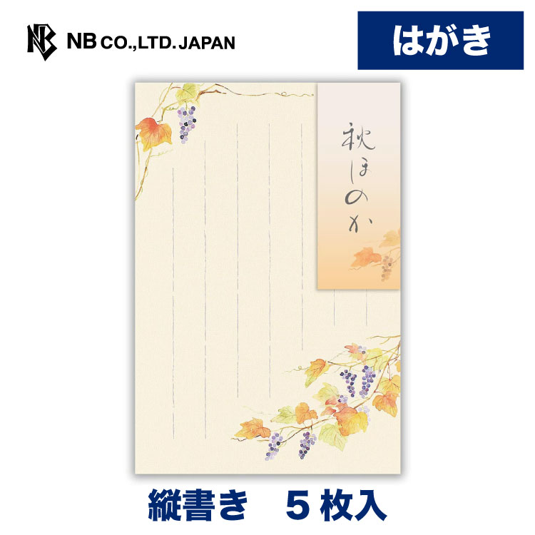 ハガキ葉書 Amazon | はがき【13枚入 郵便番号枠入 横書き】ハガキ 葉書箋
