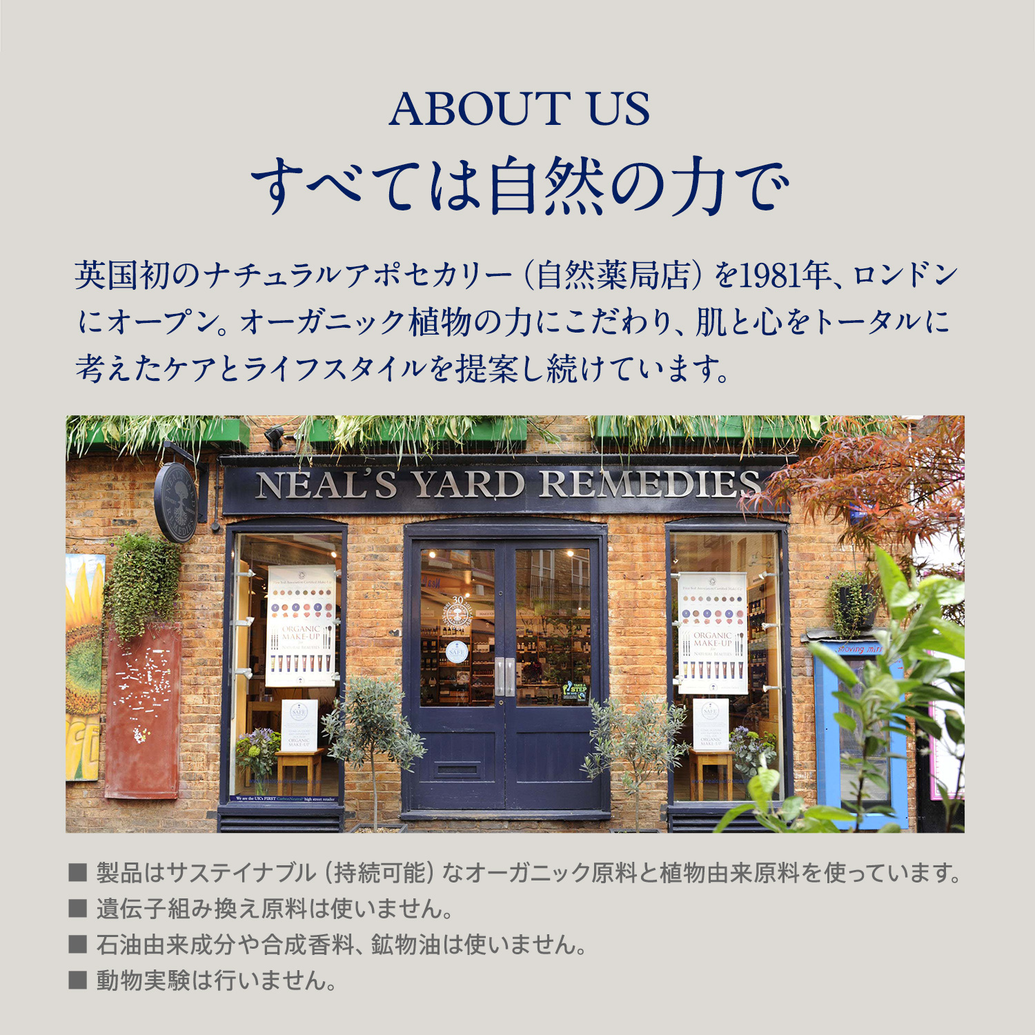 ポイント2倍:10/1 23:59まで【公式】ショルダーリリーフサルブ10g(マッサージバーム) / バーム アルニカ コンフリー ショウガ オーガニック マッサージ ハーブ 冷え 温感 携帯 持ち運び 首 肩 腰 ニールズヤード