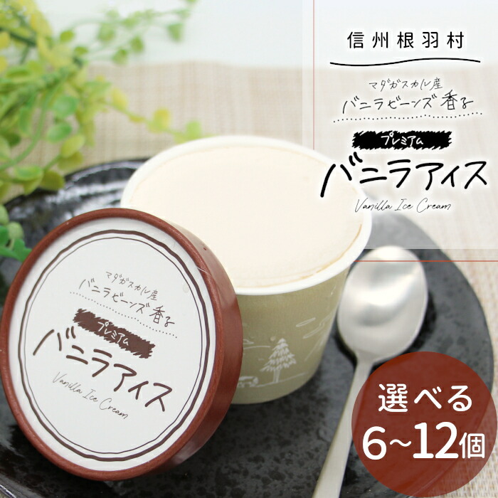 楽天市場】マダガスカル産 バニラビーンズ香る☆バニラアイスクリーム