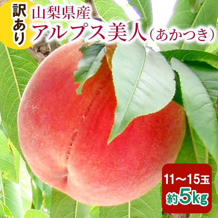 訳あり 山梨県発明 アルプス佳人 11 15ボール 先ず5kg 褪紅 もも 白桃 あかつき でかい容量 古里直送 産直 送料無料 C T Cjprimarycares Com